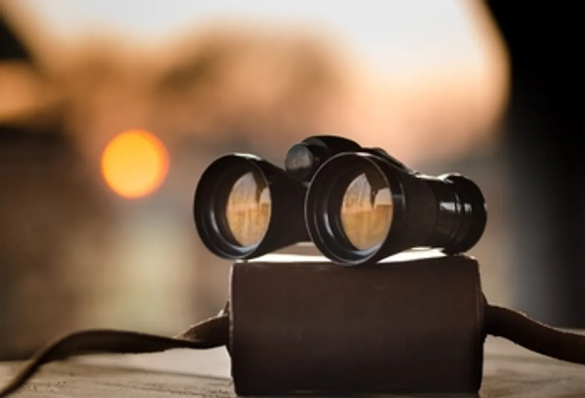 Come cercare un testo all'interno di una moltitudine di documenti